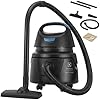 Electrolux Aspirador água pó compacto potente função sopro 1400W 12 L total 5 L util protetor termico AWD01 127V