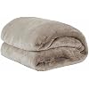 Cobertor Casal Manta Microfibra Fleece 01 Peça Caqui